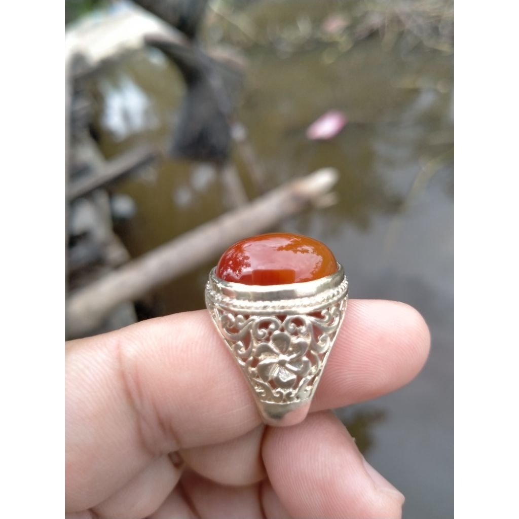 Natural Cempaka orange orson
