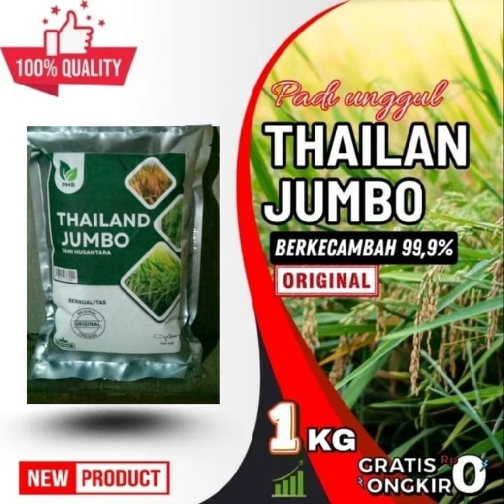 bibit padi Thailand jumbo asli kemasan 1kg