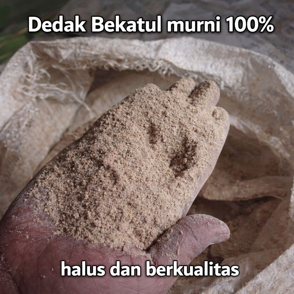 DEDAK BEKATUL MURNI BERKULITAS 1KG