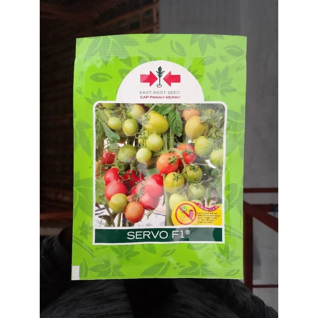 Benih Bibit Tomat Hibrida SERVO F1 Isi 1750 Biji Cap Panah Merah PROMO terbaru