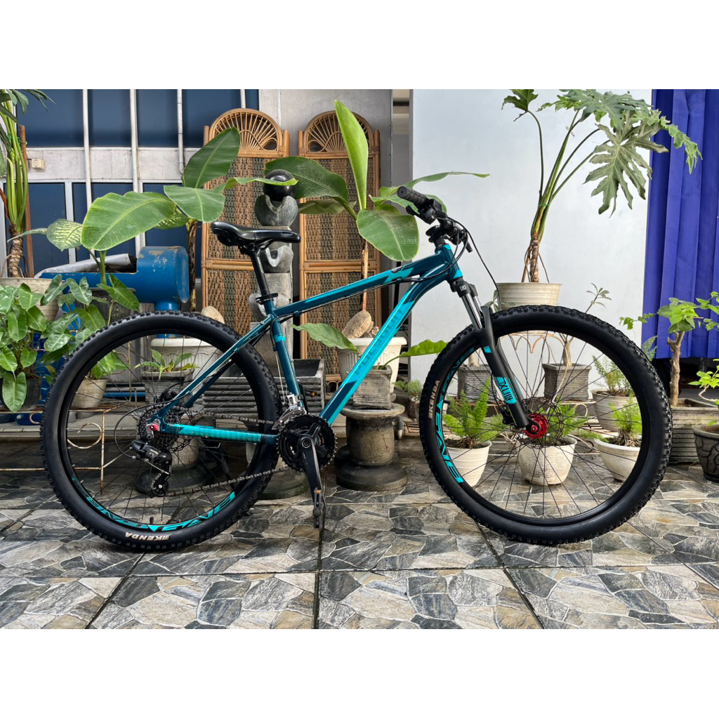 POLYGON CASCADE 4 2022