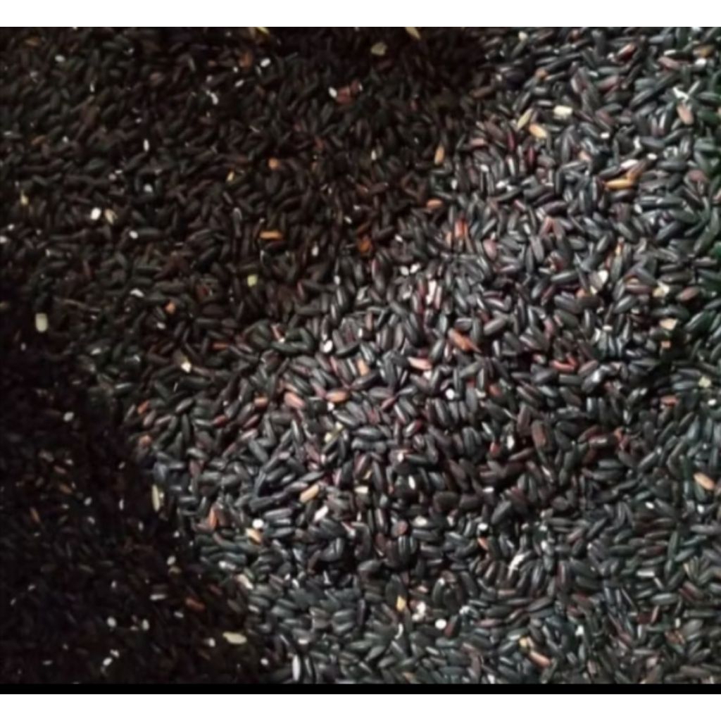 500gr BERAS KETAN HITAM