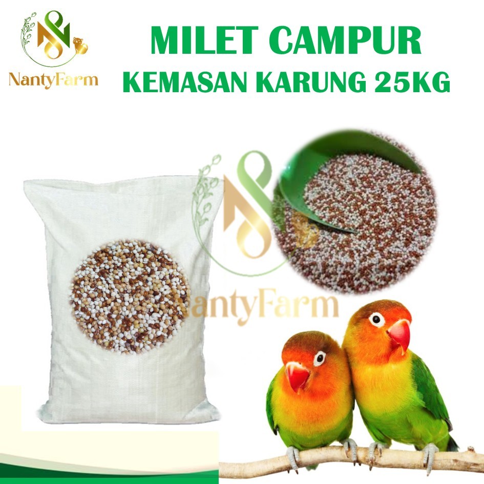 1 KARUNG/ZAK Milet Campur 25 kg Pakan Burung Lovebird, Parkit, Kombinasi Milet Merah, Milet Kuning, 