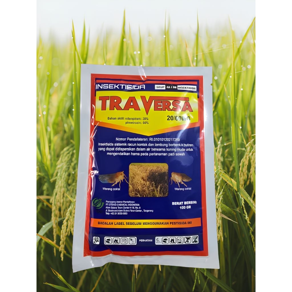 Traversa,pemberantas wereng kutu kutuan