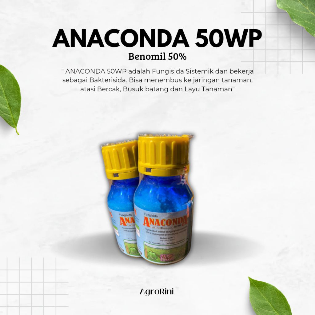 Fungisida Sistemik ANACONDA 50WP Mengobati Busuk batang dan Layu