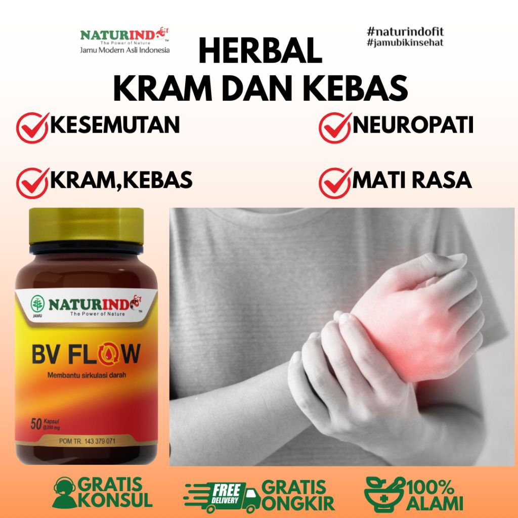 Obat Herbal Kram Varises Kebas Kesemutan Neuropati BV FLOW Naturindo