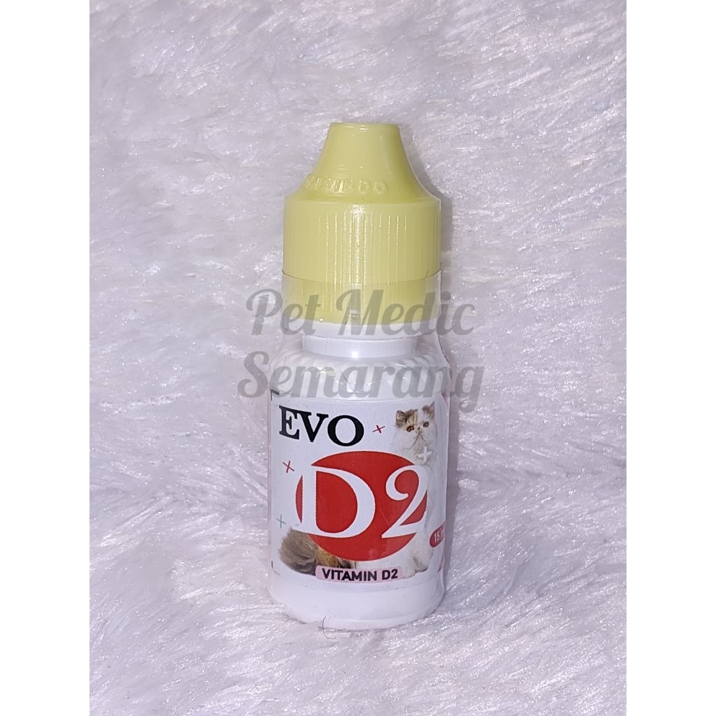 Antivirus kucing EVO D2