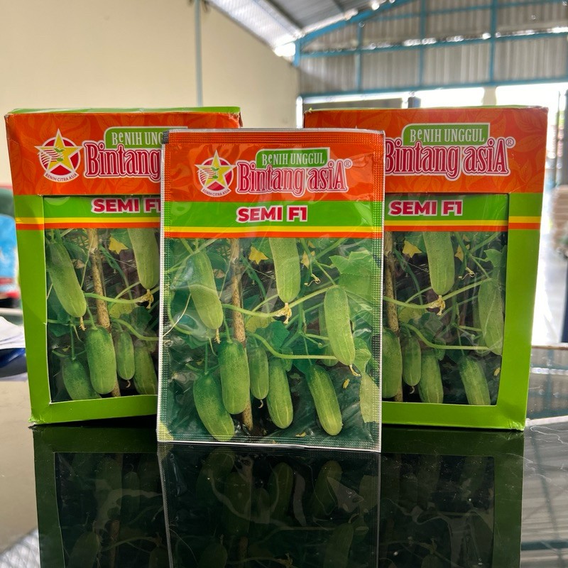 SEMI F1 - Benih timun SEMI F1 (100gr)- Bibit timun beby kecil bintang asia in