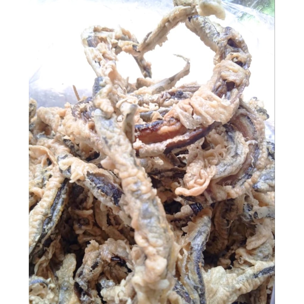 Oleh-Oleh Khas Jogja Keripik Belut Goreng Godean Empuk Renyah Kemasan 500 Gram