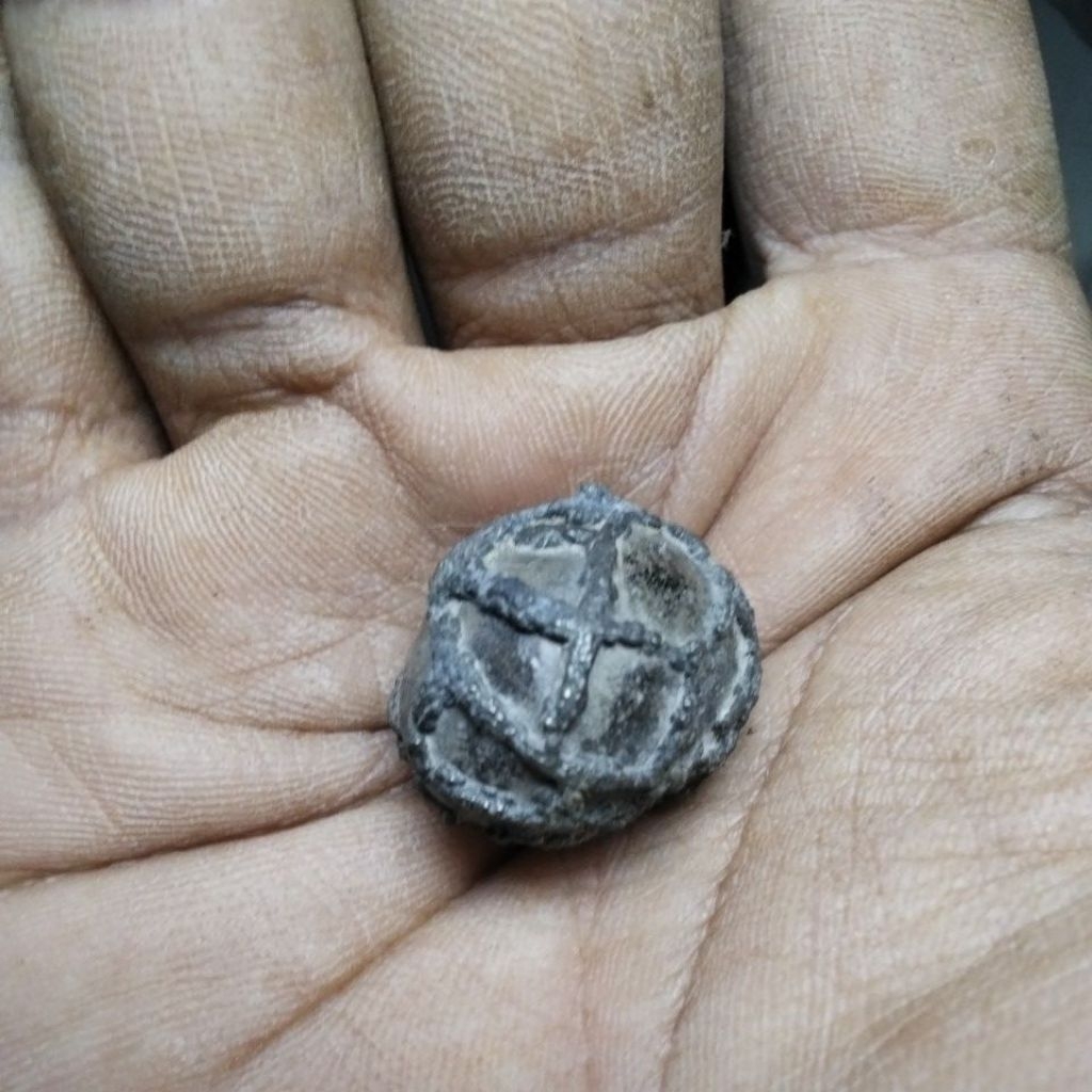 batu unik jolo senggoro tapak jalak