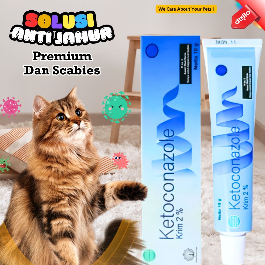 Salep KETOCONAZOLE Solusi Atasi Luka Jamur Scabies pada Kucing DELLO