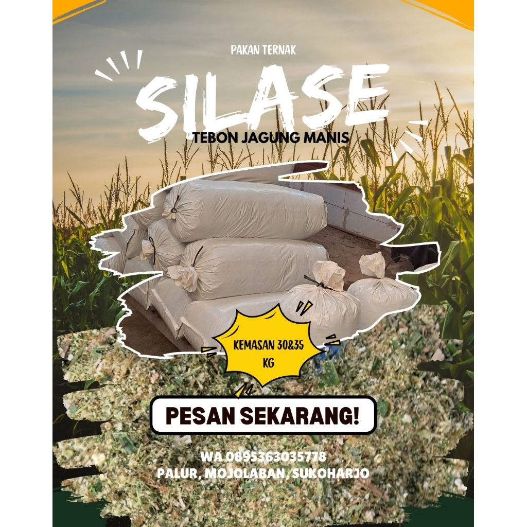 Silase Hijauan Pakan Ternak