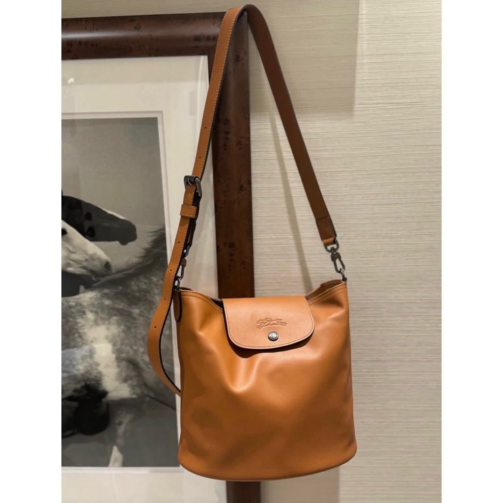 LC Le Pliage Extra Hobo
