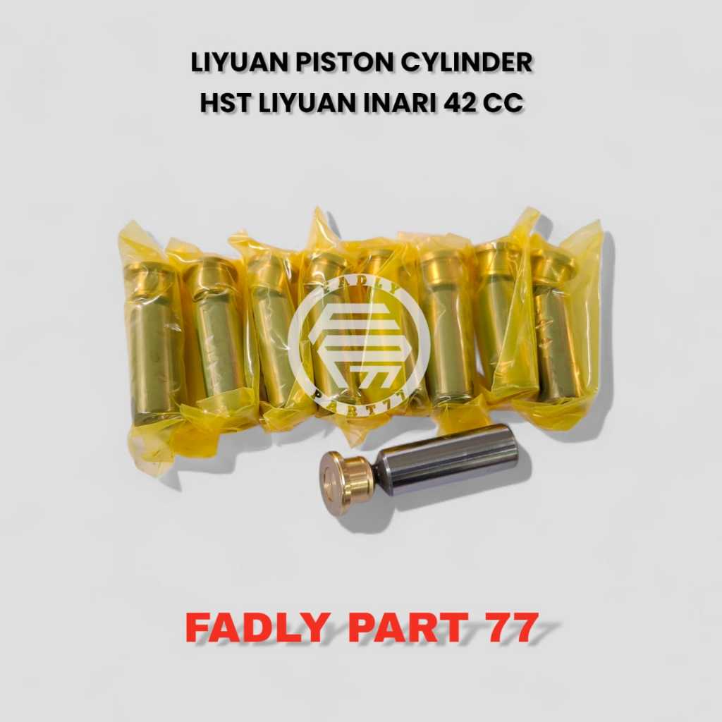 LIYUAN PISTON CYLINDER HST LIYUAN INARI 42 CC
