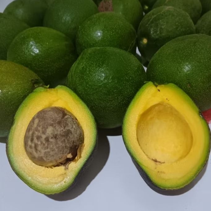 Alpukat Mentega Matang Pohon Segar 1kg | Alpukat Mentega Organik Premium