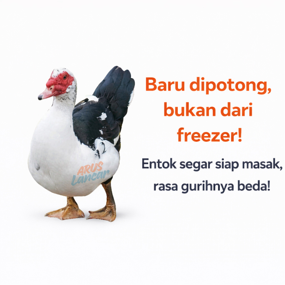 KIRIM INSTAN Entok Potong Fresh — Disembelih Saat Dipesan, Daging Super Segar