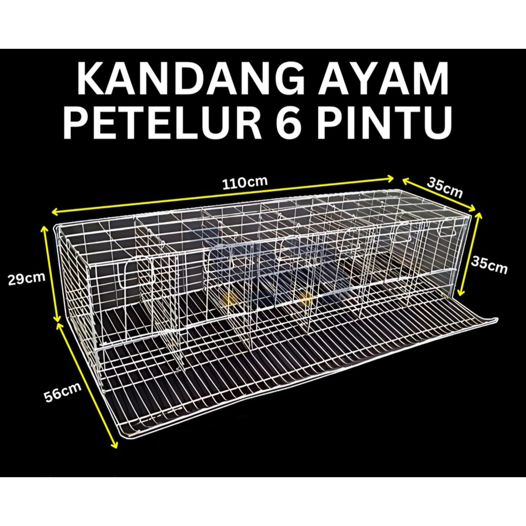 Kandang Ayam Petelur