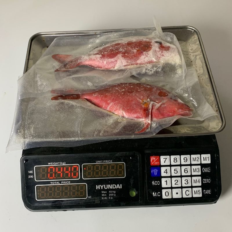 Ikan Kerapu Merah Premium Fresh Beku Bersih Kerapu Frozen Berat 400 gram