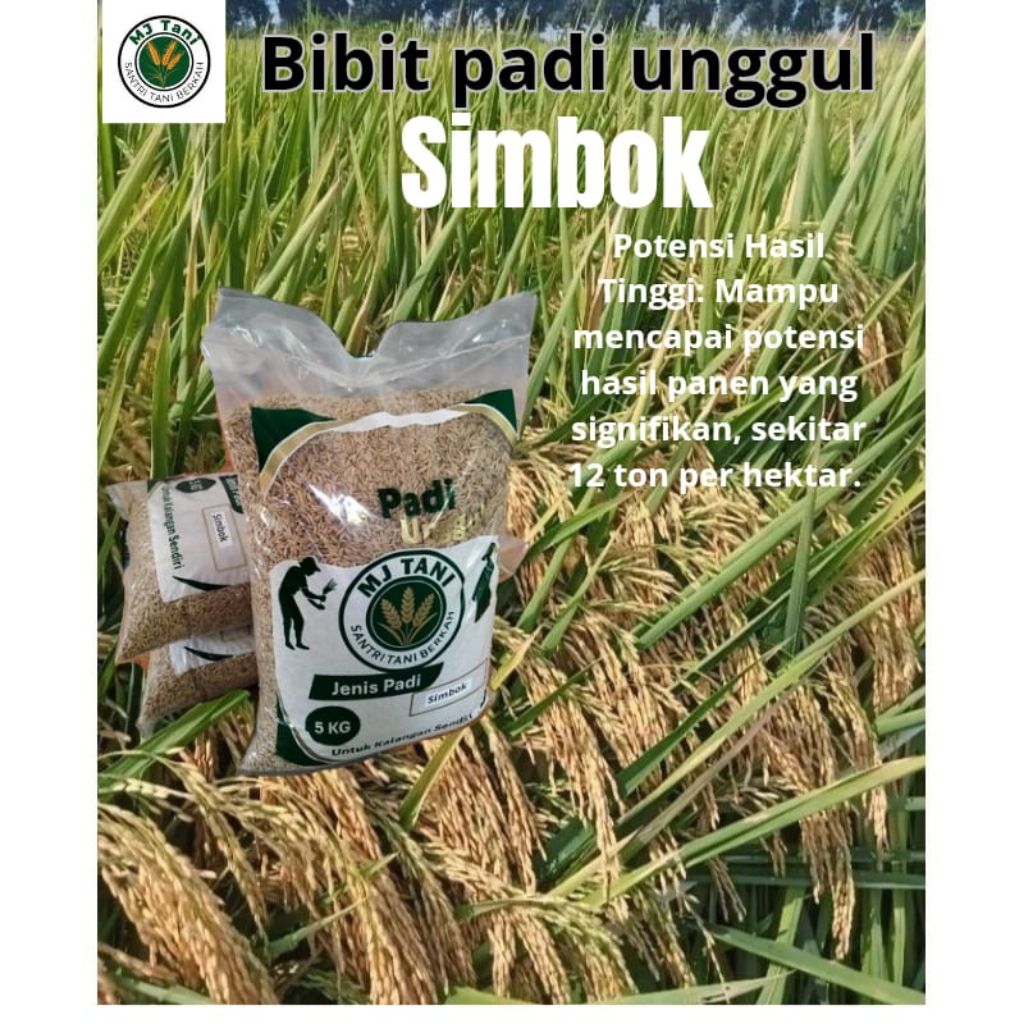 bibit padi simbok 5kg Original Premium