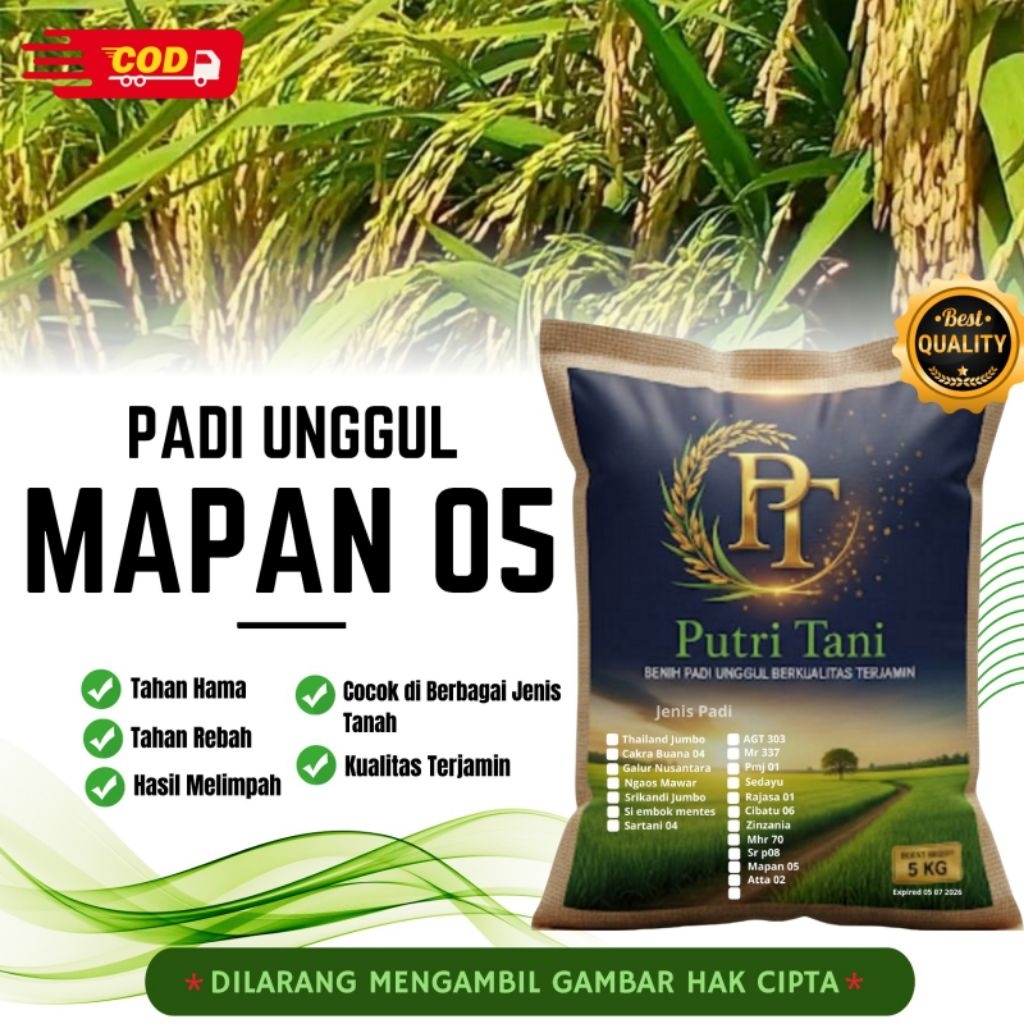 BIBIT PADI MAPAN 05 KEMASAN 5KG