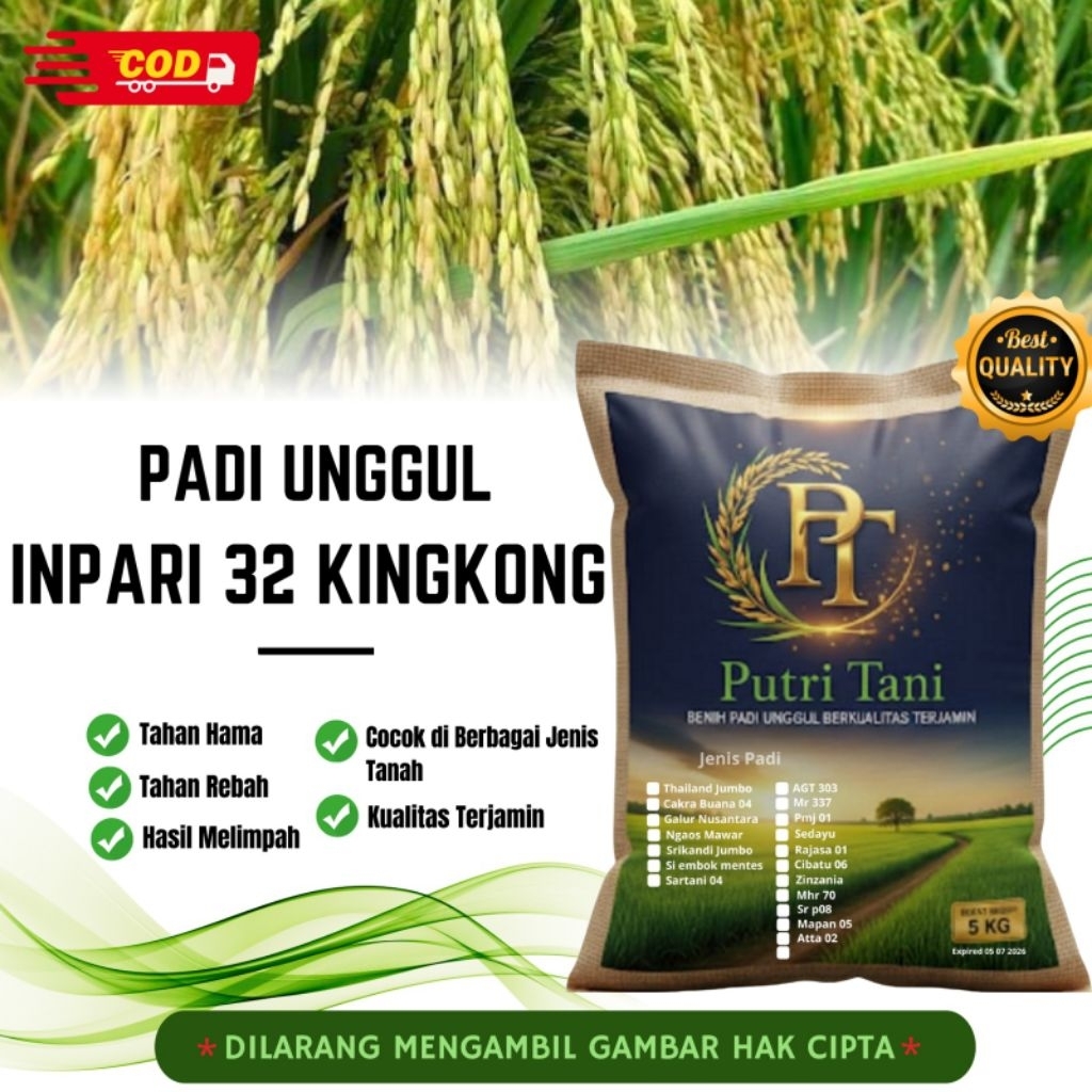 BIBIT PADI INPARI 32 KINGKONG KEMASAN 5KG