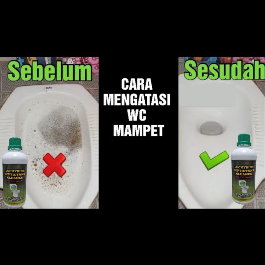 OBAT WC MAMPET ORGANIK TERBUKTI AMPUH