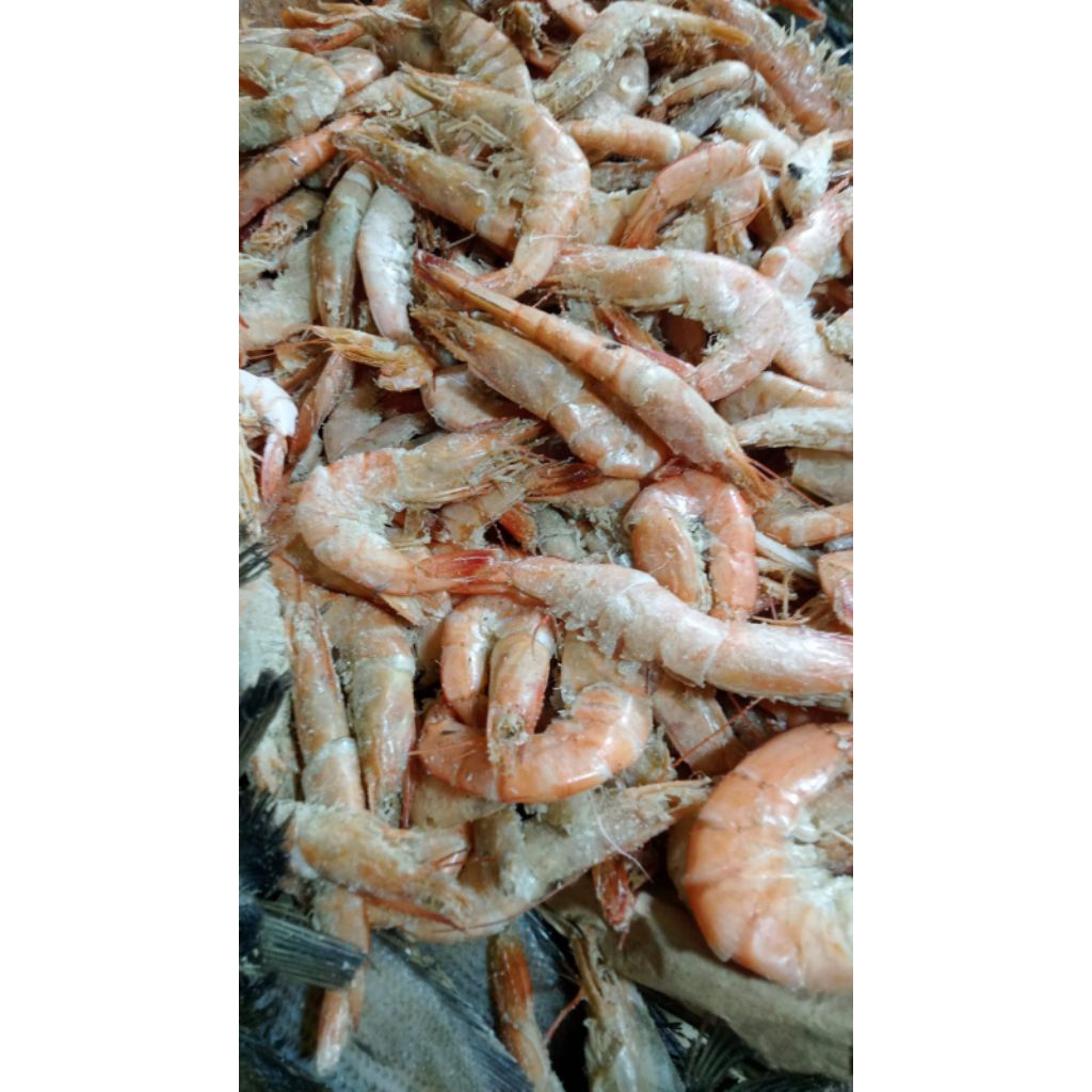 UDANG KERING ASIN 1KG