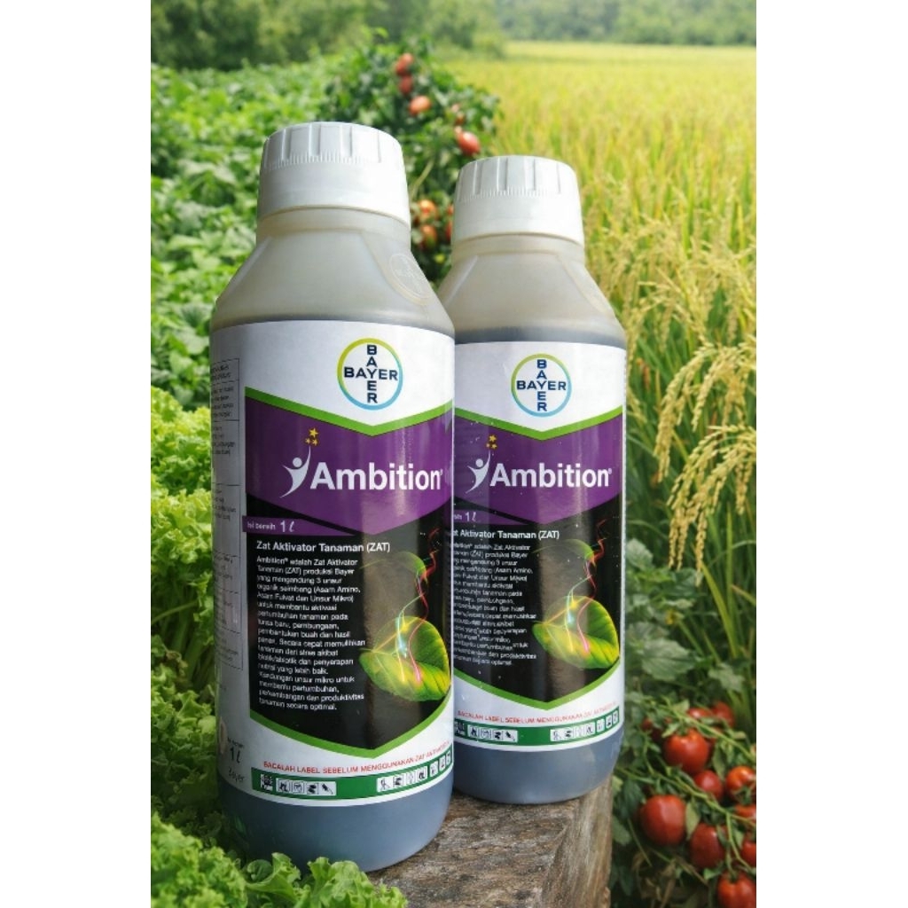 Ambition 100ml (Kemasan repack)