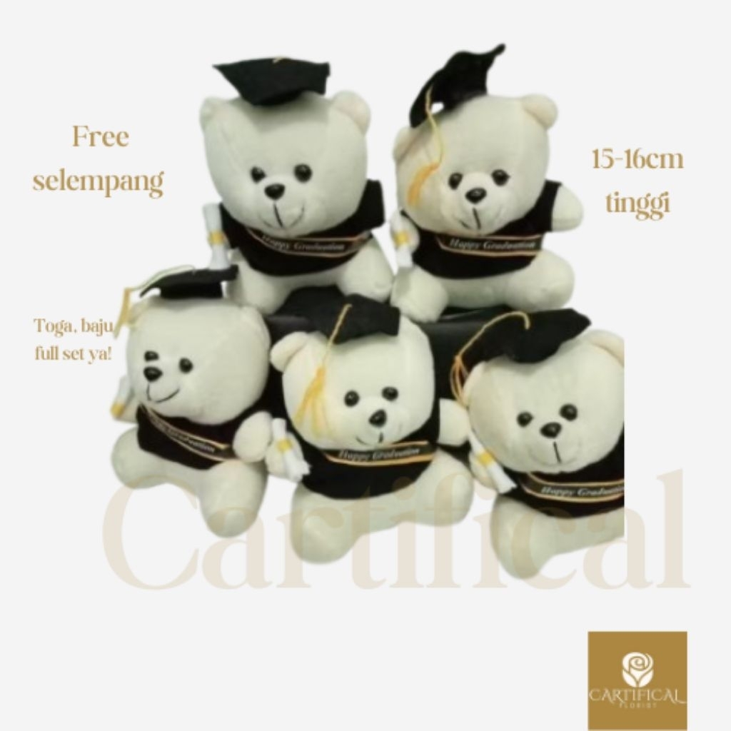 PROMO BONEKA TEDDY BEAR 15cm/ boneka wisuda /Boneka bear mini//
