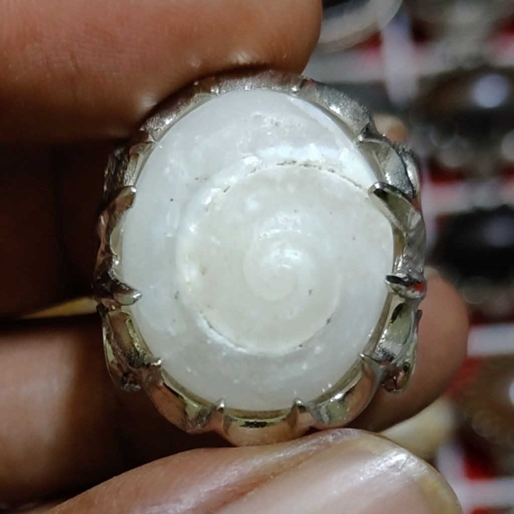 batu akik po5il kol buntet putih keong putih keristal natural alami