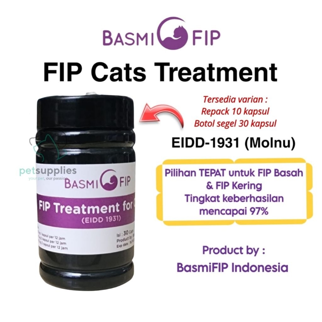 Obat FIP dan Calici Kucing dari Basmi FIP Indonesia - Molnupiravir Kucing untuk Kucing FIP dan Calic