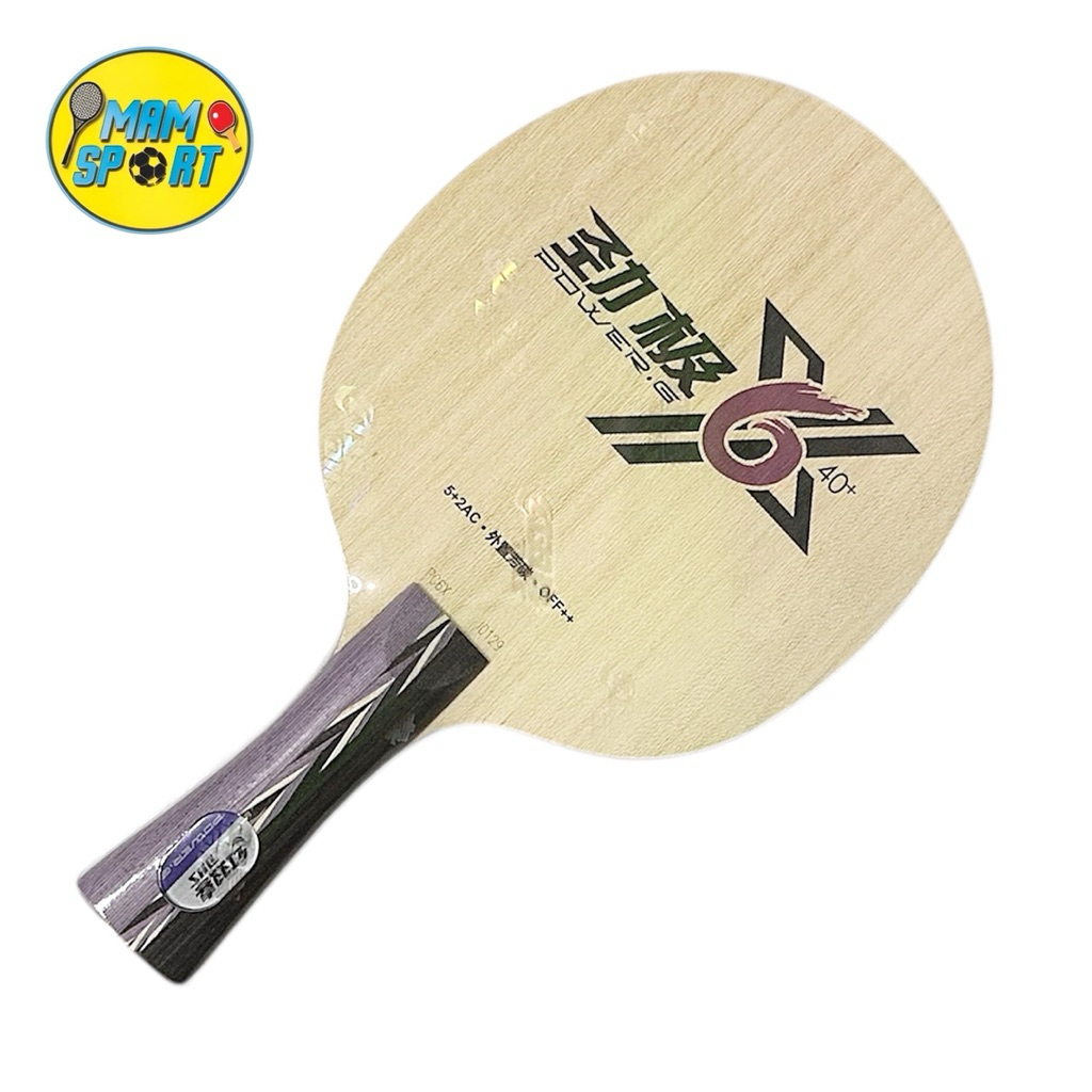 Kayu Bet Pingpong Tenis Meja DHS POWER G PG6X 40+ CARBON Original