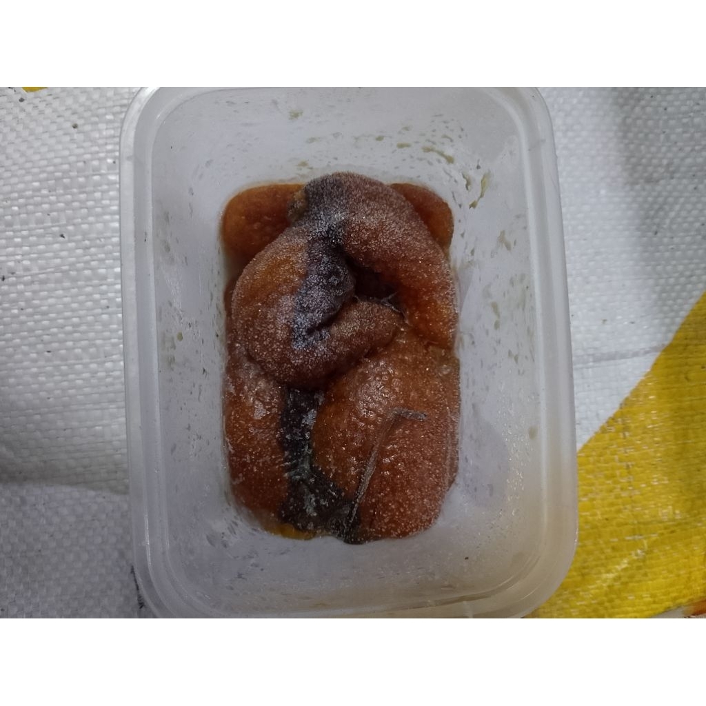 ts aborsi telur sapu sapu frozen umpan galatama umpan pancing