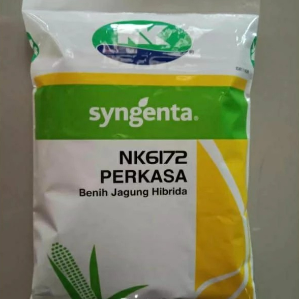 Benih JAGUNG HIBRIDA NK 6172 PERKASA 1KG #bibit jagung#jagung perkasa#bibit nk perkasa