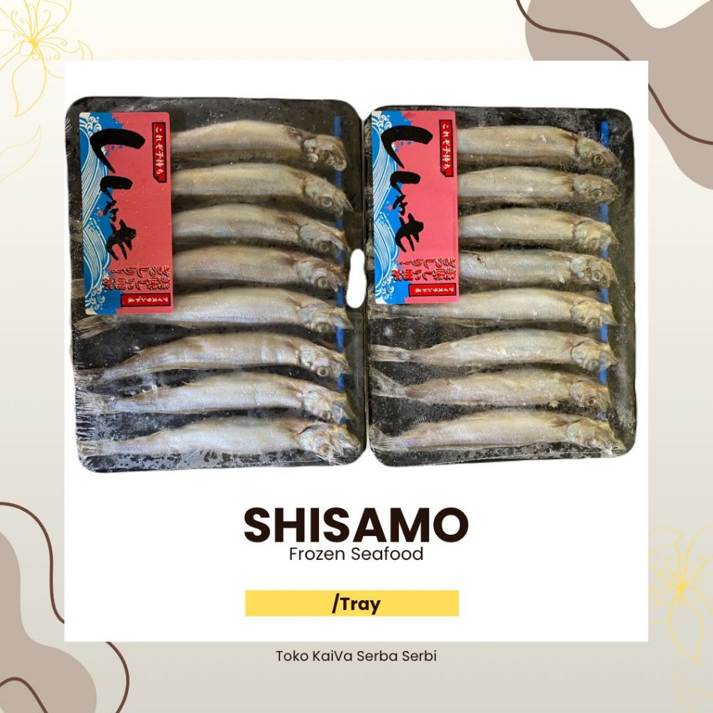 IKAN SHISAMO| SHISAMO CAPELIN FISH |IKAN CIPUNG | IKAN SHISHAMO