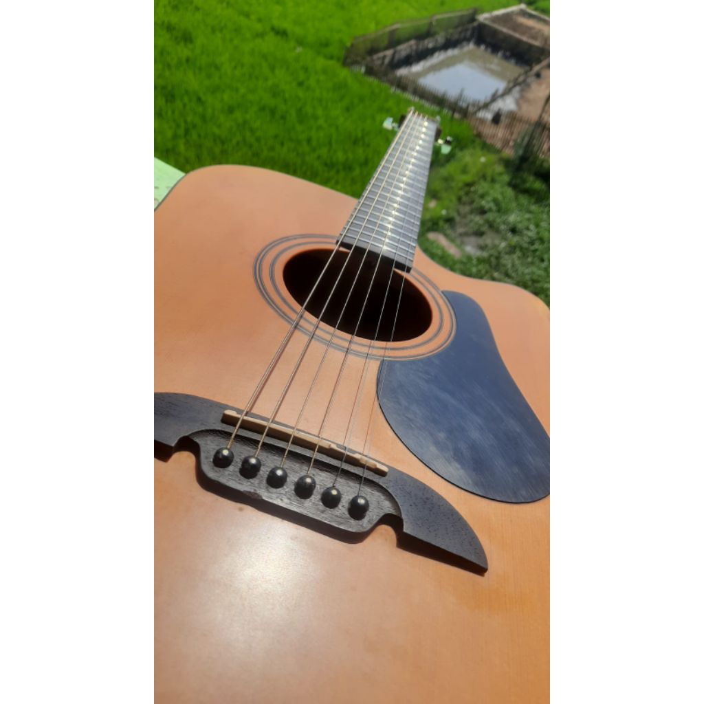 gitar alvarez