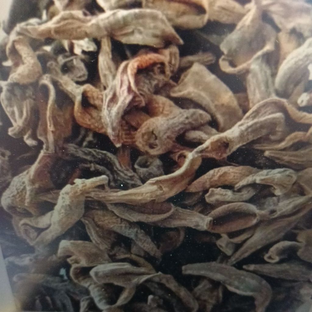 lintah kering kapsul (isi 70) asli 100,%untuk stroke