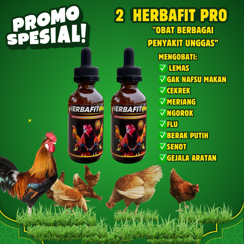 DISKON PAKET HEMAT 2 HERBAFIT PRO OBAT AYAM NGOROK (CRD ) OBAT SENOT BERAK PUTIH GEJALA ARATAN