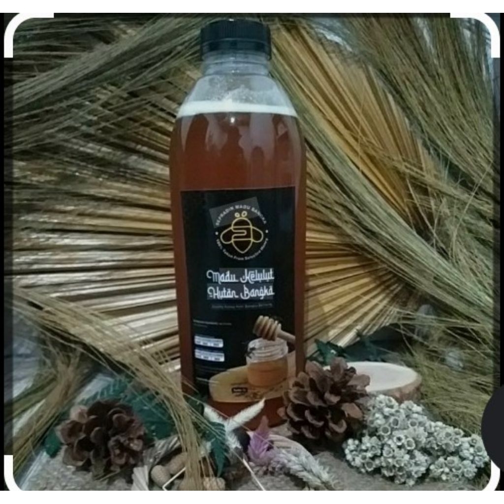 Madu lebah Kelulut / Trigona. (klanceng Asli)