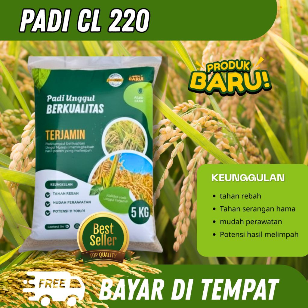 Benih Padi Unggul CL 220 kemasan 5 kg