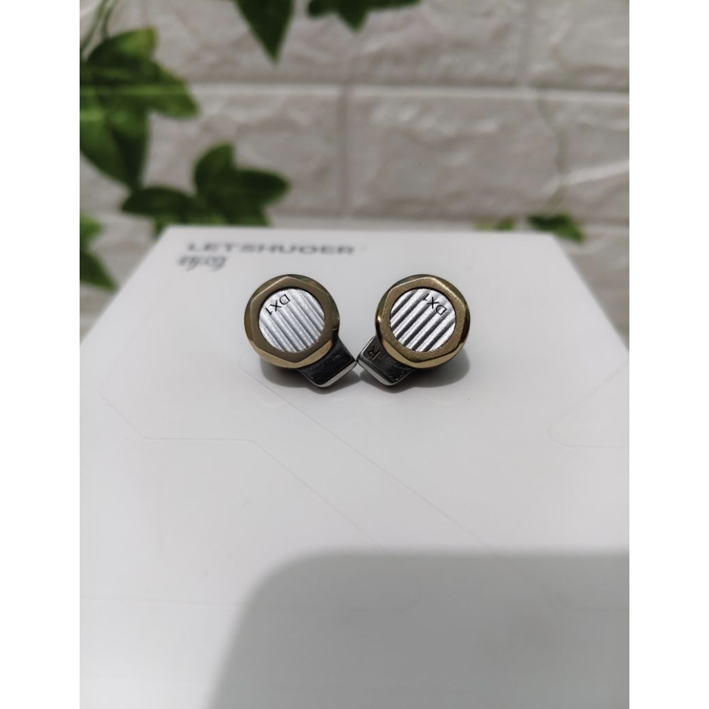 Letshuoer DX1 Iem Earphone second