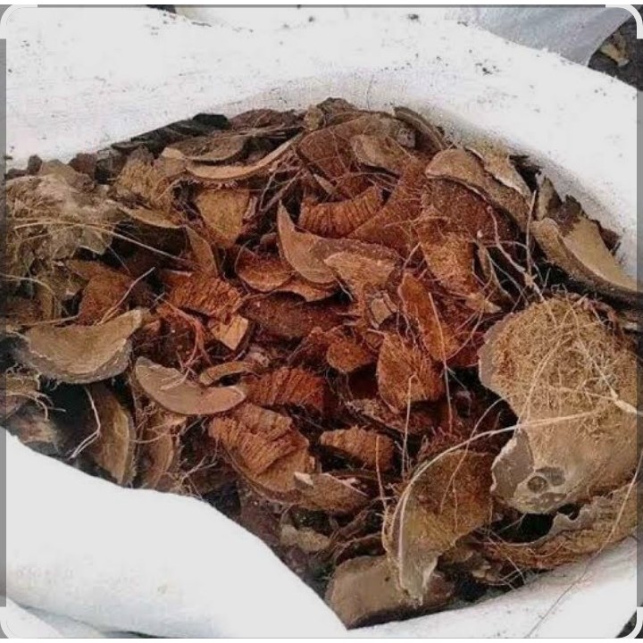 Batok Kelapa Cacah (Tempurung Kelapa)