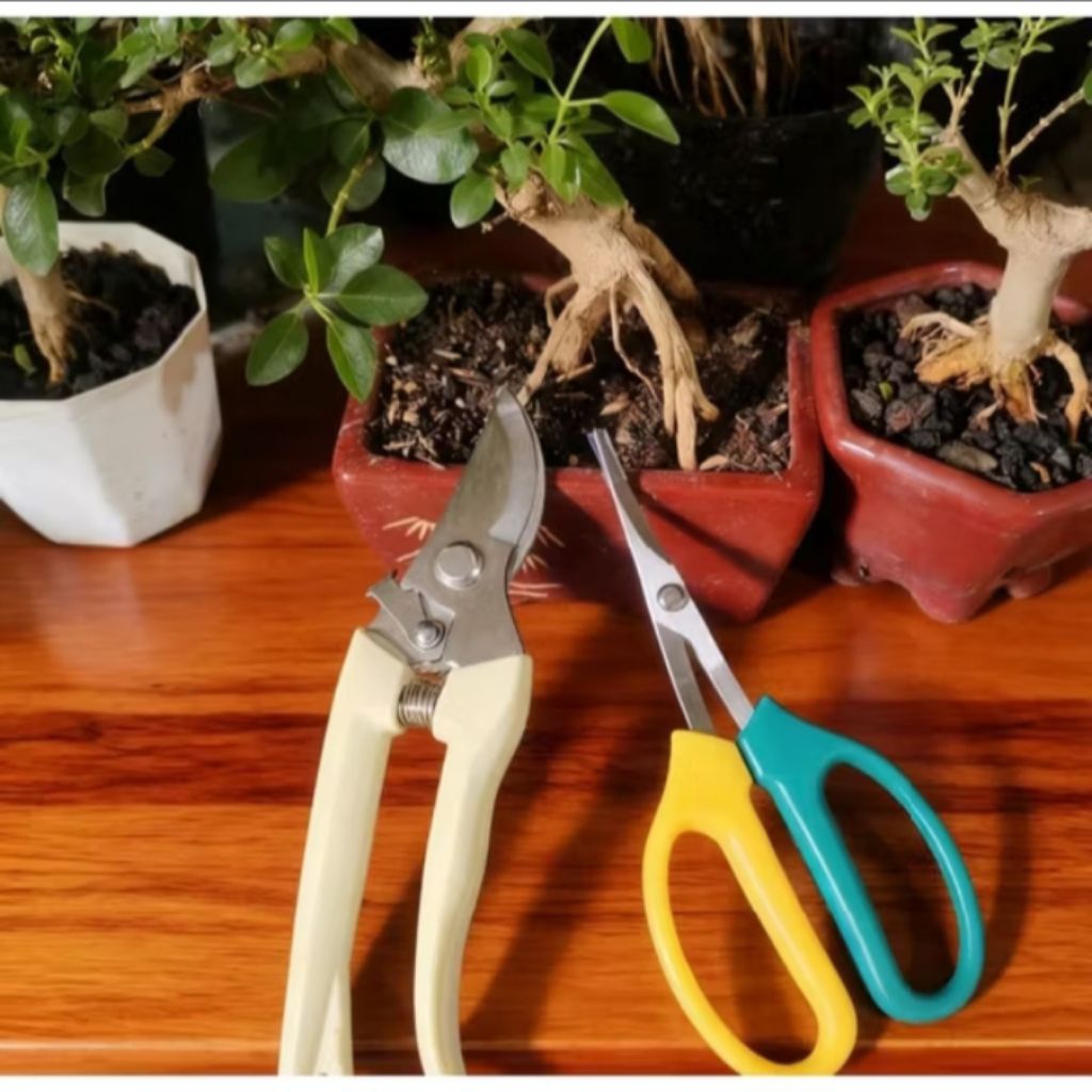 Paket 2pcs Gunting Pruning Daun/ Ranting Bonsai/ Gunting Pohon Bonsai Gunting Perlengkapan Dahan Poh