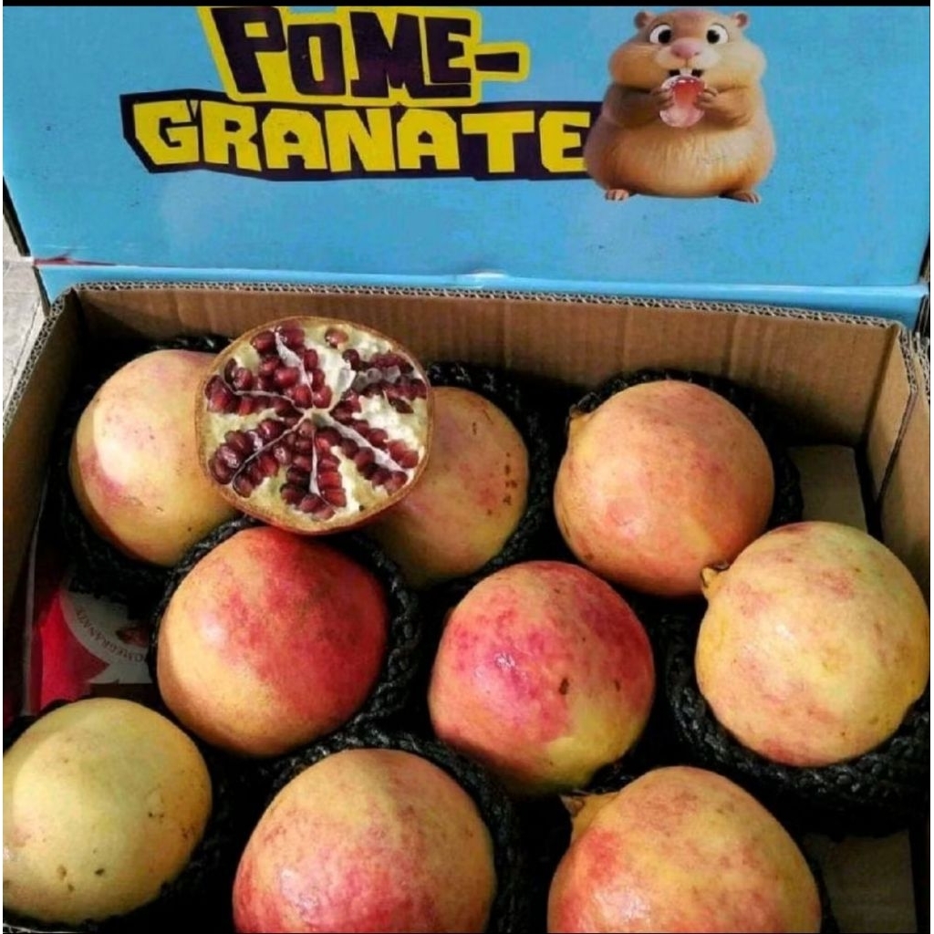 buah delima RRC import delima soft seed manis -+8,5 kg