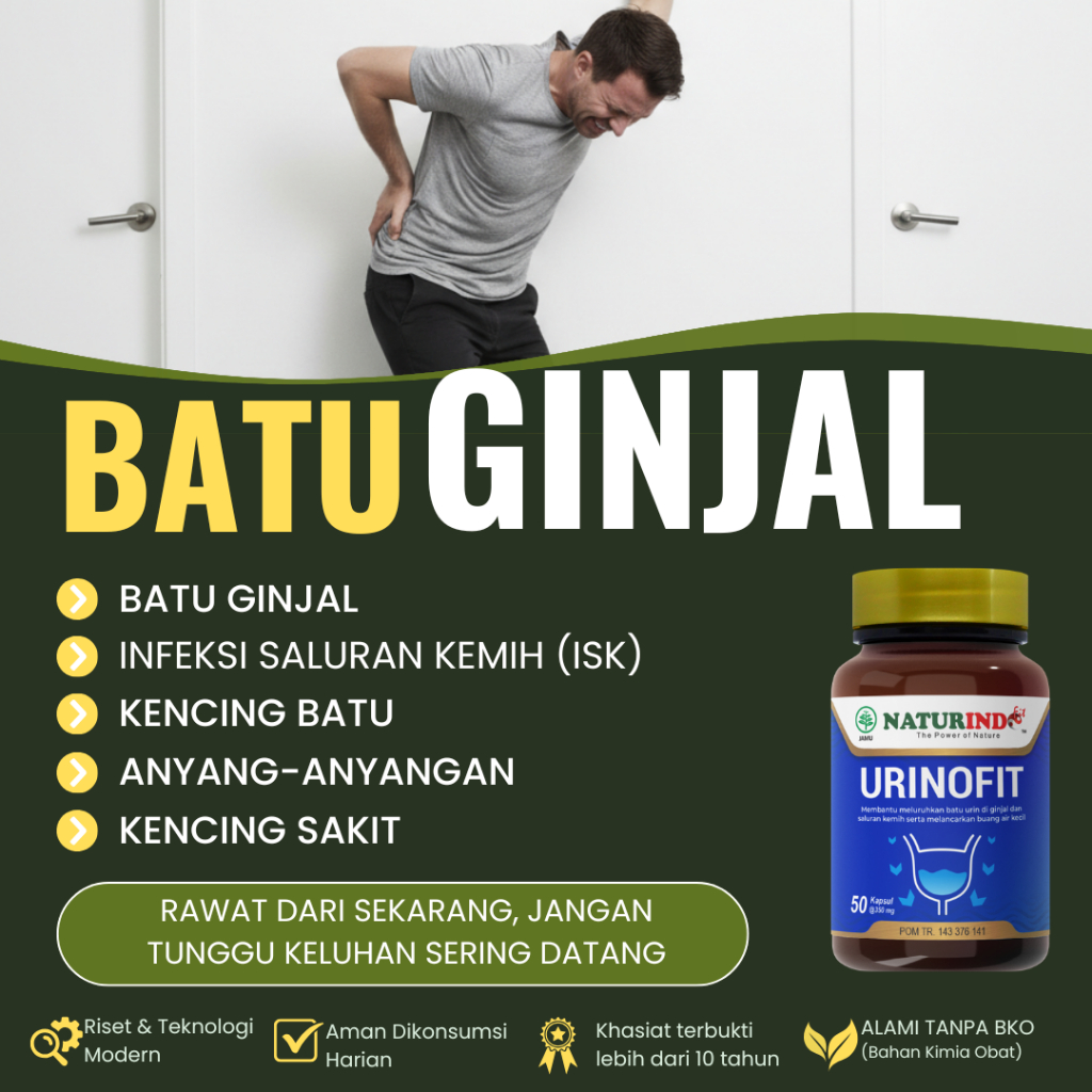 Obat Batu Ginjal Kencing Batu Herbal Penghancur Batu Ginjal