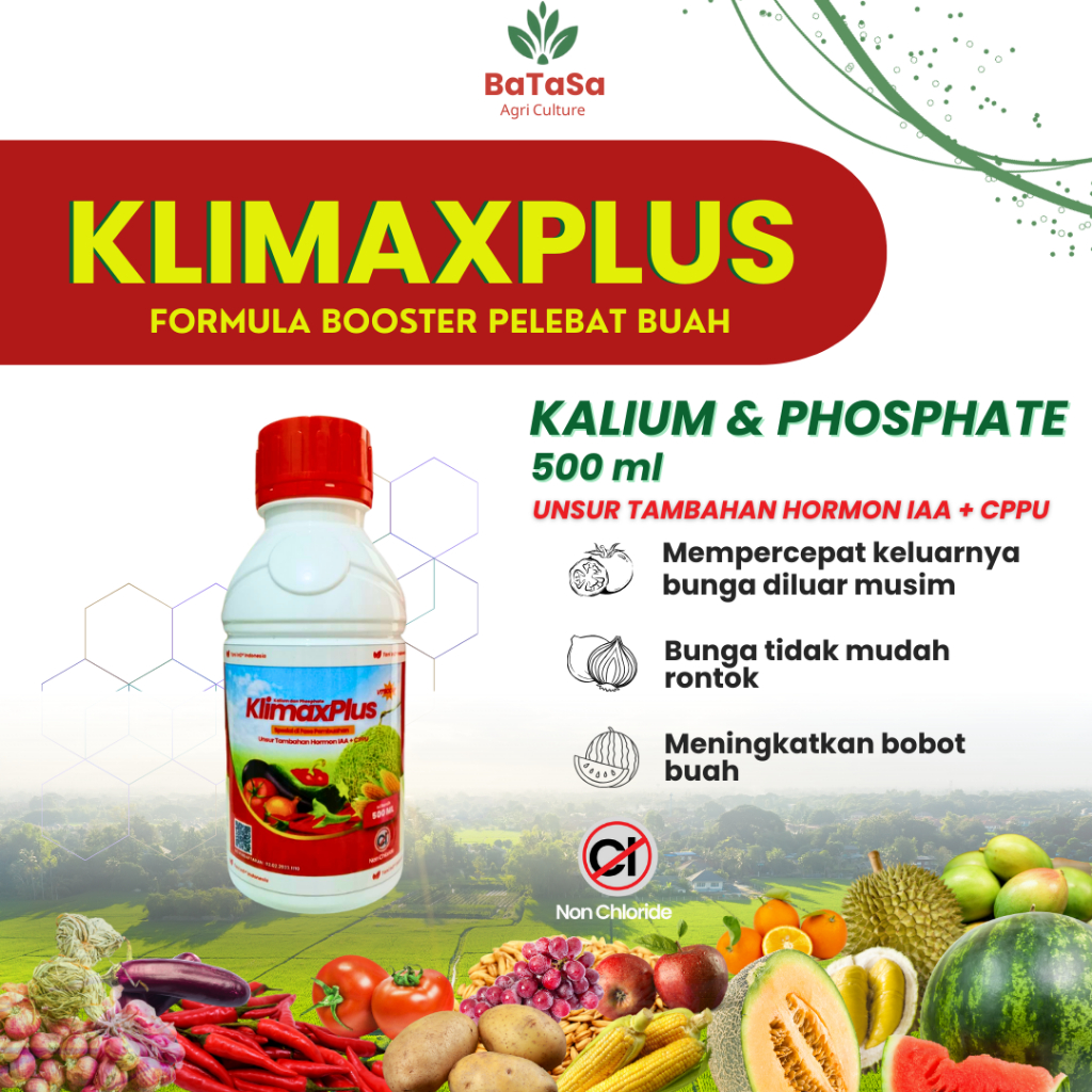 KLIMAXPLUS Kalium Pospat Hormon IAA dan CPPU Pelebat Buah Percepat Pembungaan Bunga Diluar Musim 500