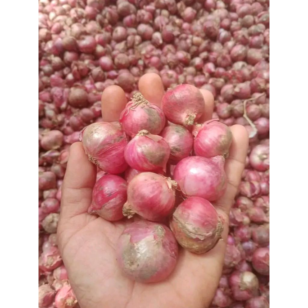 bawang merah 1kg campur sedang ke besar