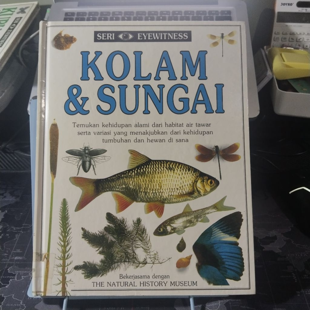 Buku anak Seri Eyewitness KOLAM & SUNGAI