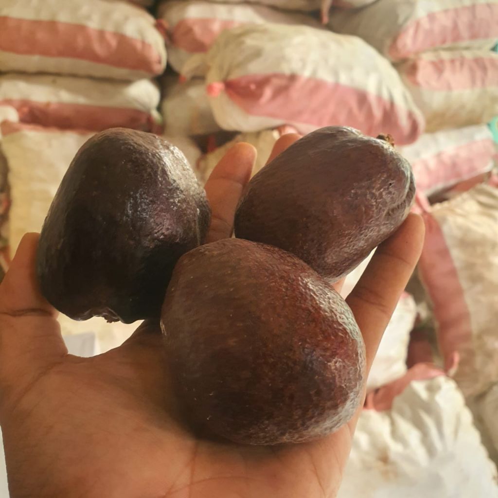 Free Test Pack - 1kg Buah Zuriat Asli Madinah