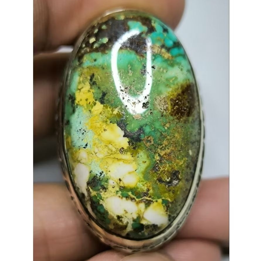 Pirus Persia Hijau Gradasi